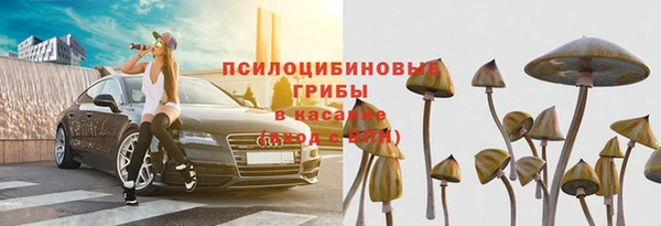 spice Беломорск