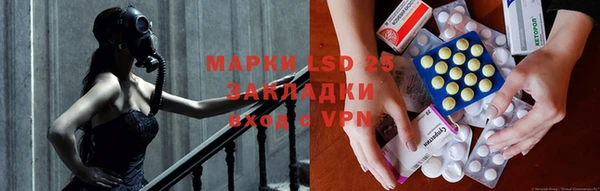 индика Белоозёрский