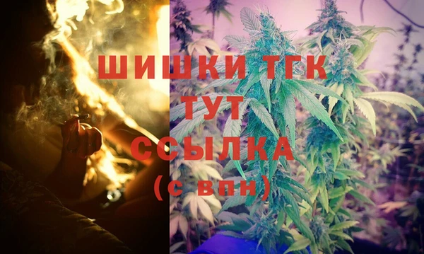 spice Беломорск