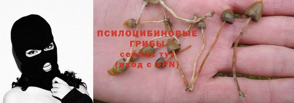 spice Беломорск