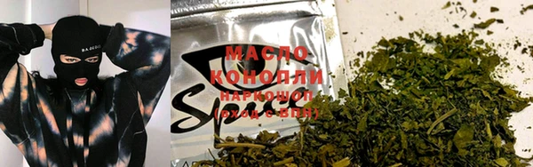 индика Белоозёрский