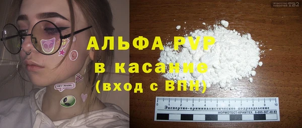 индика Белоозёрский