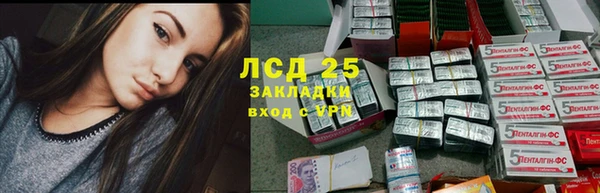 spice Беломорск
