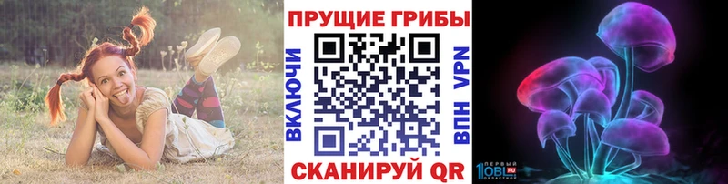 где купить   Кущёвская  Галлюциногенные грибы ЛСД 